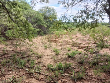 Farm & Agricultural Land