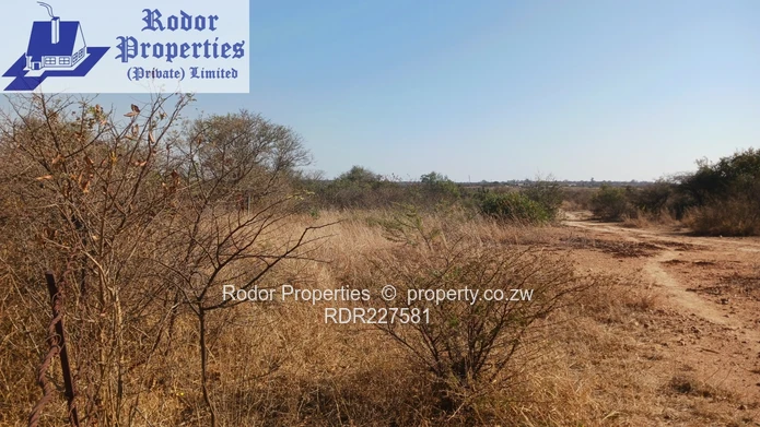 Gumtree28