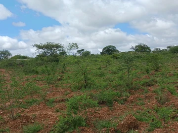 Farm & Agricultural Land