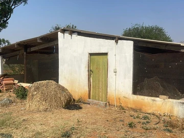 Farm & Agricultural Land