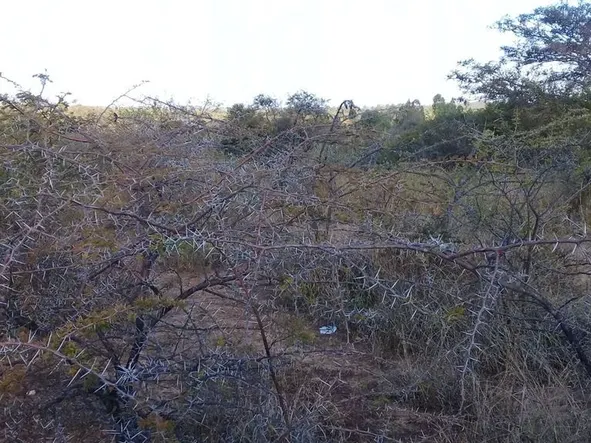 Farm & Agricultural Land