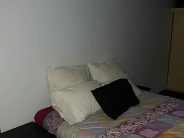 Flat & Apartment