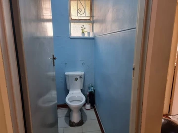 Flat & Apartment
