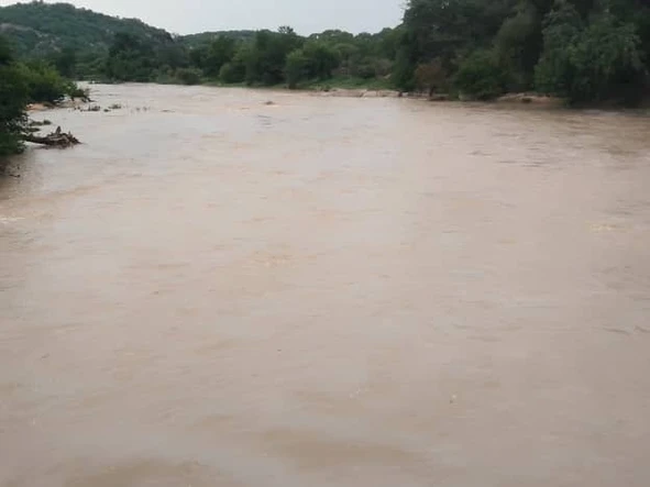 Farm & Agricultural Land