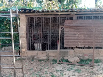 Farm & Agricultural Land