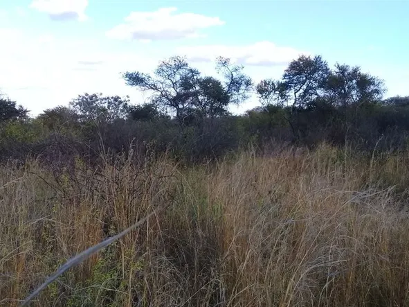 Farm & Agricultural Land