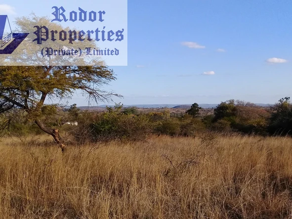 Farm & Agricultural Land