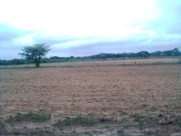 Farm & Agricultural Land