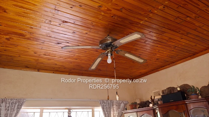 Cowdray Park