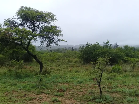 Farm & Agricultural Land