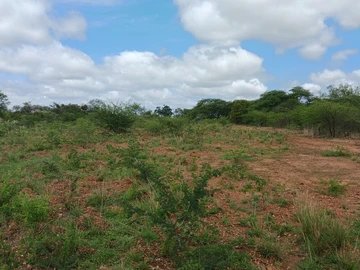 Farm & Agricultural Land