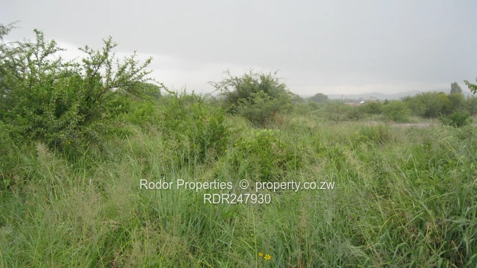 Willsgrove Bulawayo