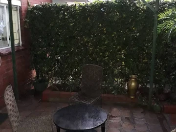 Flat & Apartment