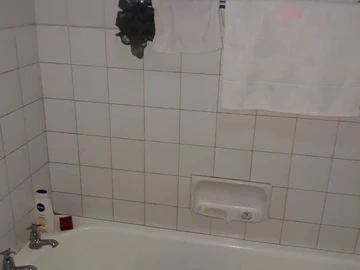 Flat & Apartment