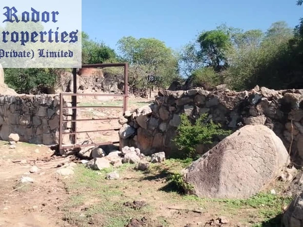 Farm & Agricultural Land