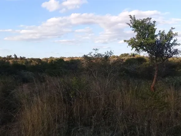 Farm & Agricultural Land