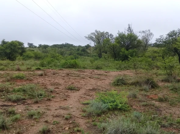 Farm & Agricultural Land