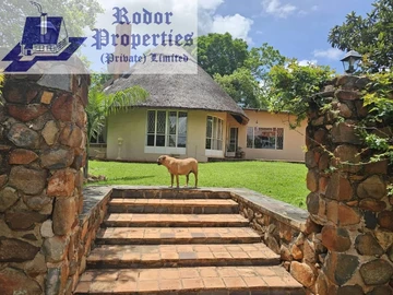 Farm & Agricultural Land