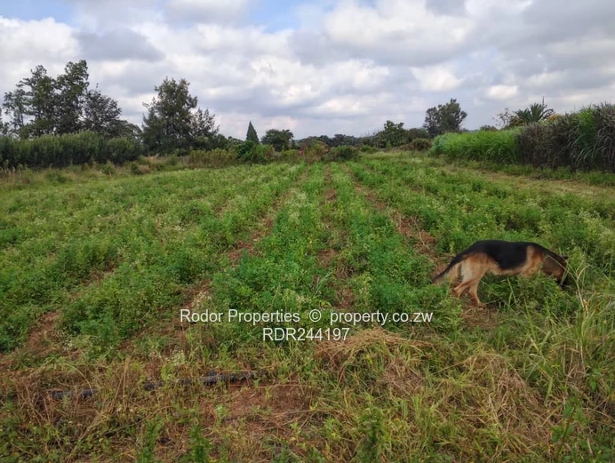 Waterford plot 11 acres