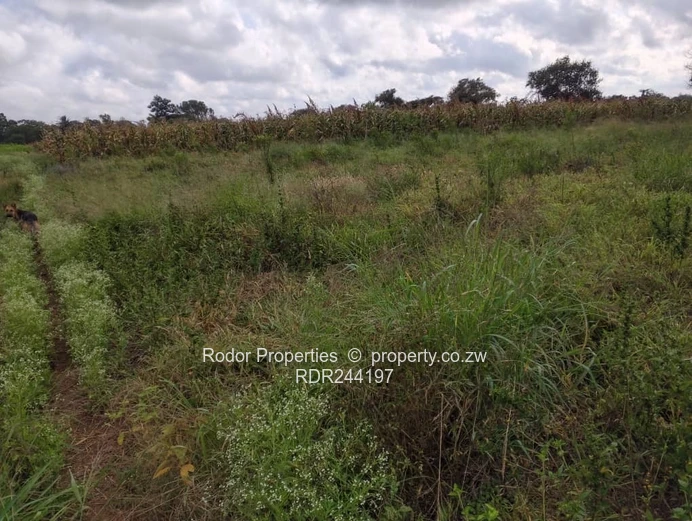 Waterford plot 11 acres