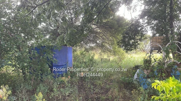 Newton West Bulawayo