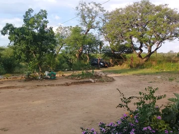 Farm & Agricultural Land