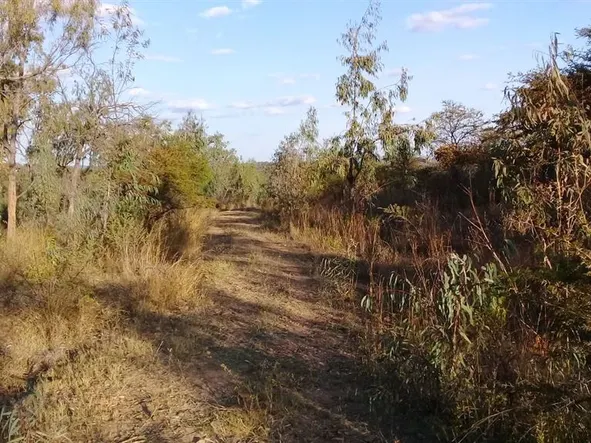 Farm & Agricultural Land