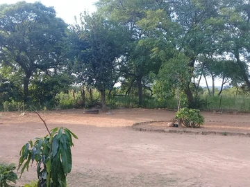 Farm & Agricultural Land