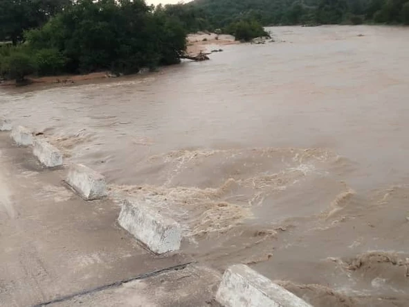 Farm & Agricultural Land