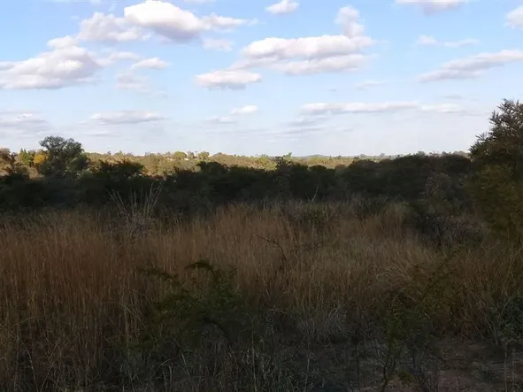 Farm & Agricultural Land