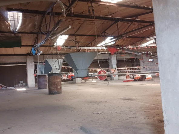 Farm & Agricultural Land